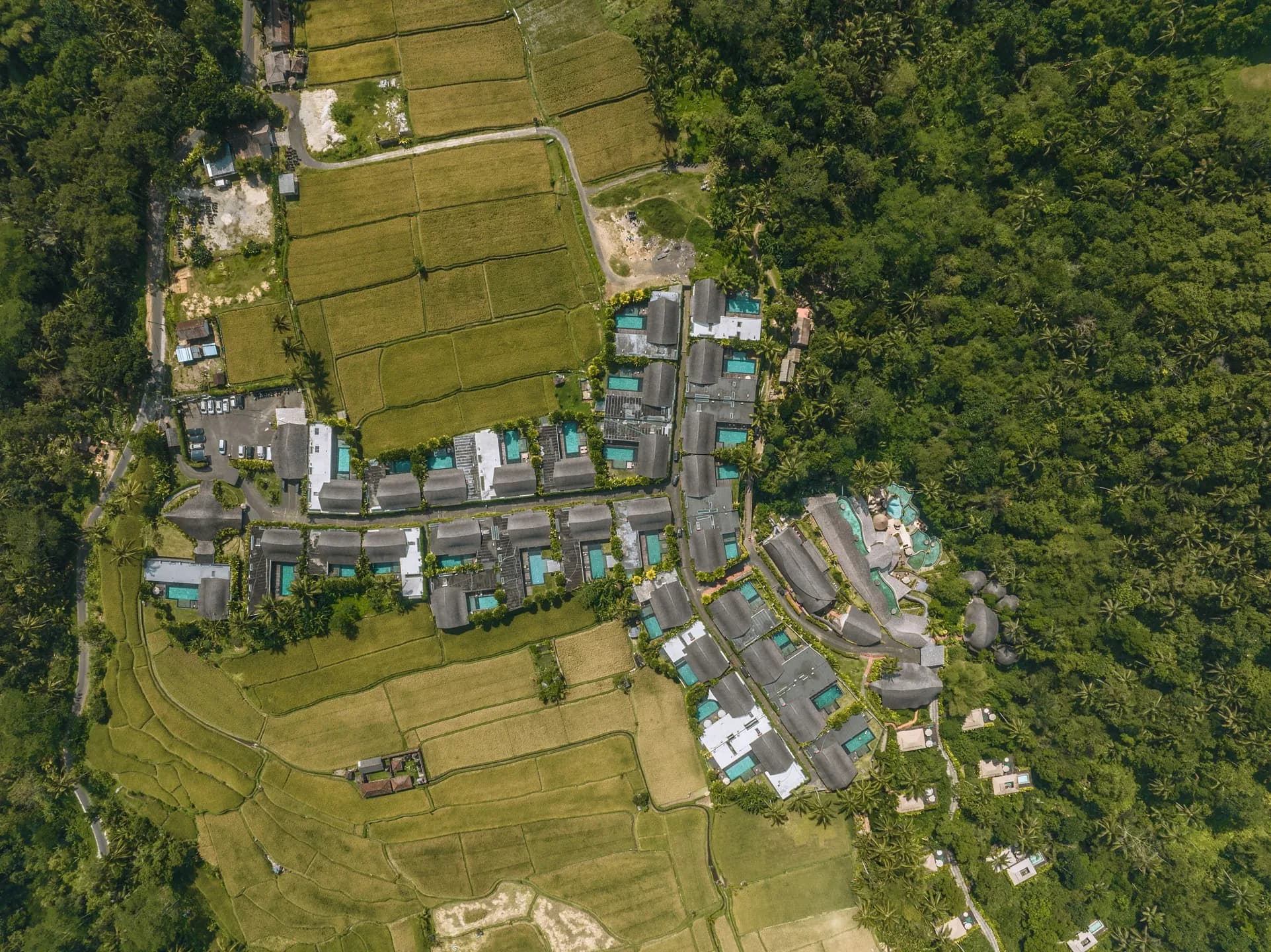 DJI_0152-1