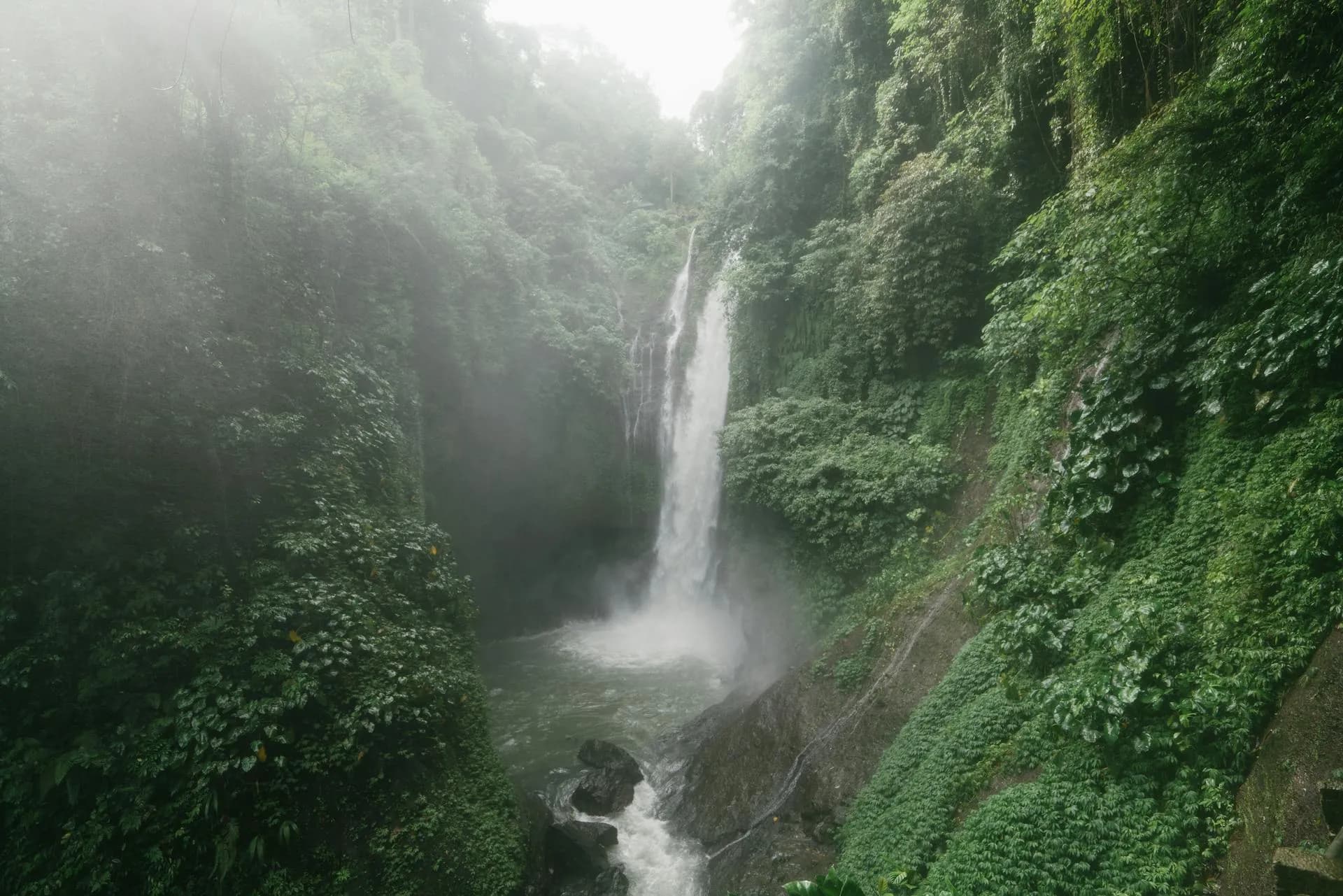 View of a lush green rainforest with a tall, misty waterfall cascading into a rocky pool below.